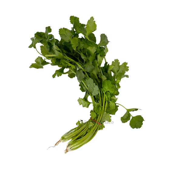 Coriander 1 Bunch